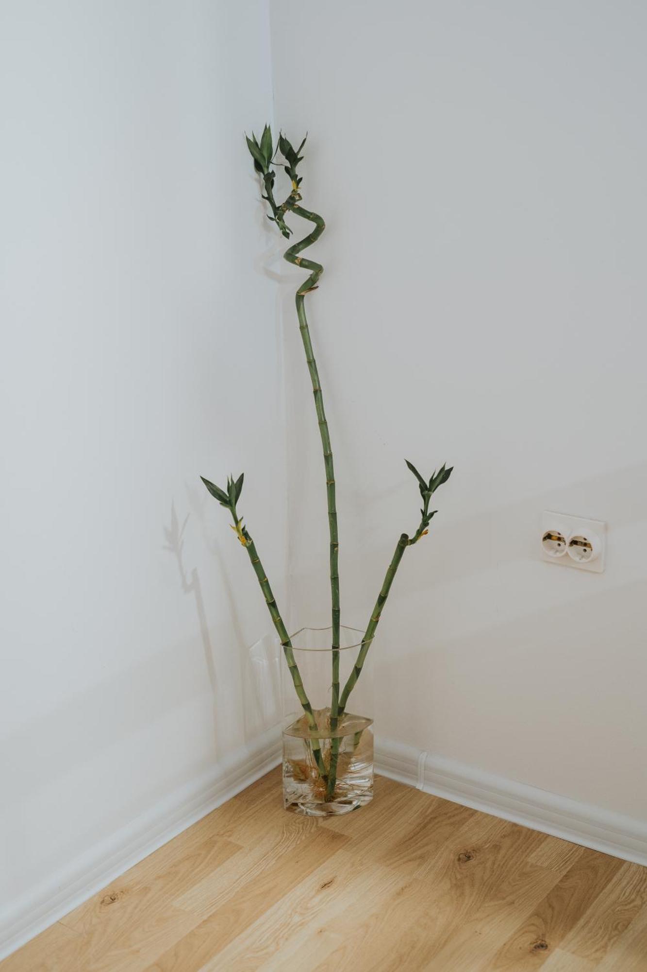 Apartment My Choice 塞拉耶佛 外观 照片